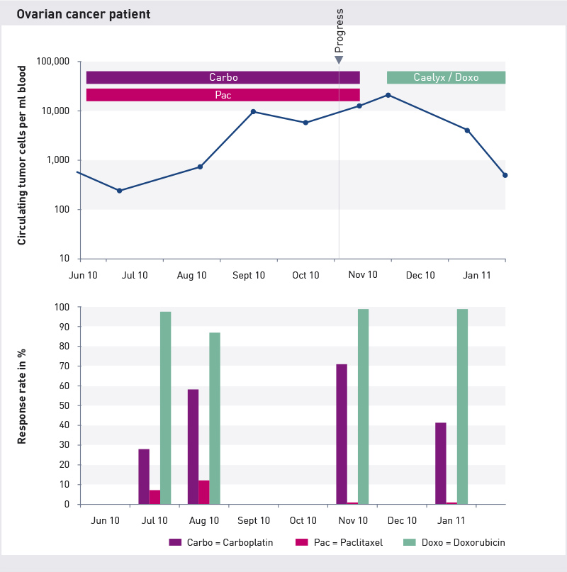 Dynamic of cell counts and testing of medications in the metastatic situation